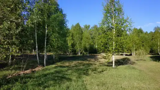 Палаточный лагерь - 4
