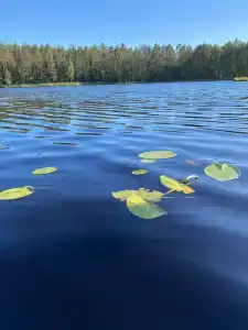 Морошка Эко Вилладж - 21