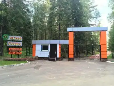 Лесная сказка - 7