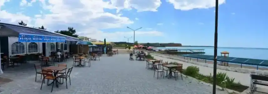 Золотой лев - 51