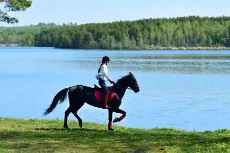Сокол - 3