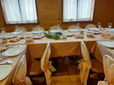 Forest river - 36