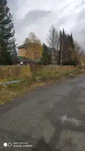 Кедр - 16