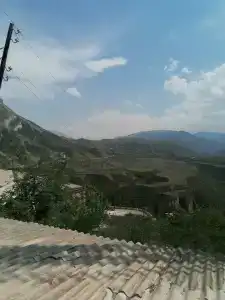 Пение птиц - 83