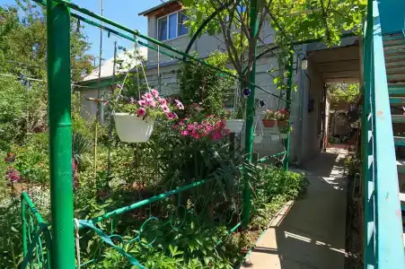 Зины Жарковой - 2