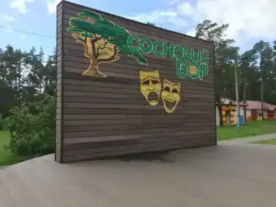 Сосновый бор - 27