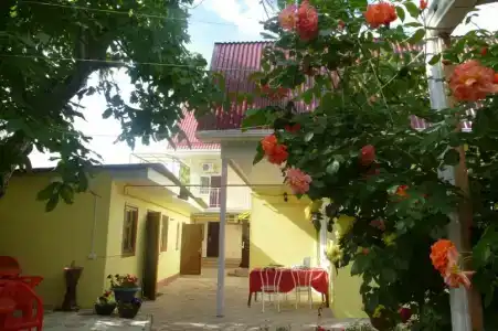 Маргарита - 32