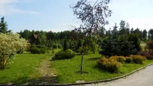 Петровские дачи - 15