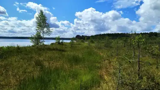 Озеро Белое - 9