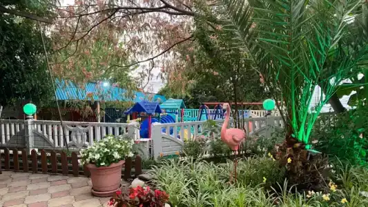 Фламинго - 50