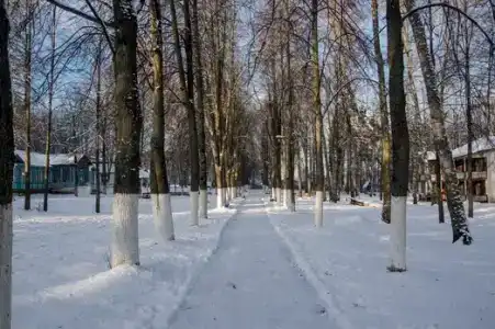 Веста - 2