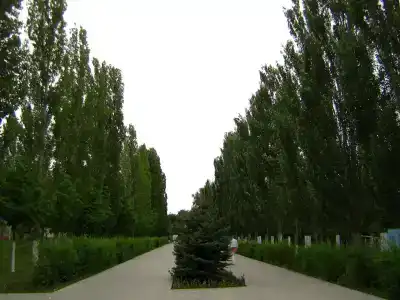 Светлана - 19