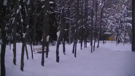 Детский санаторий Орлёнок - 1