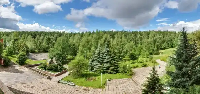 Сосновый - 1