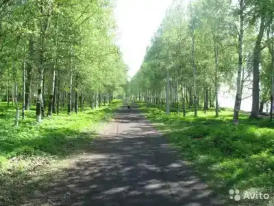 Родник - 1