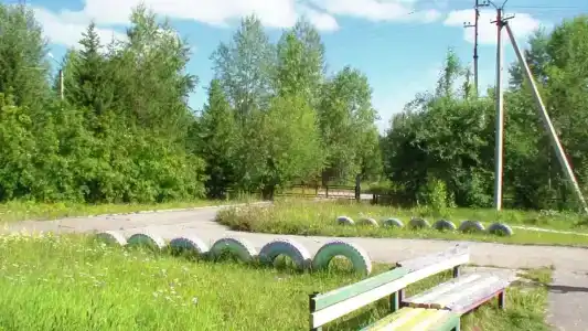 Кедр - 2