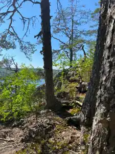 Карелия Парк - 87