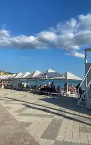 МАНГО - 14