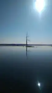 Лесные эльфы - 13