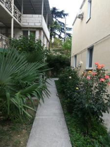 Green Garden - 27