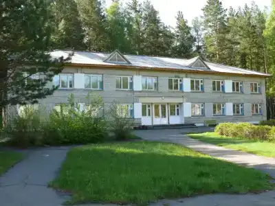 Чайка - 7