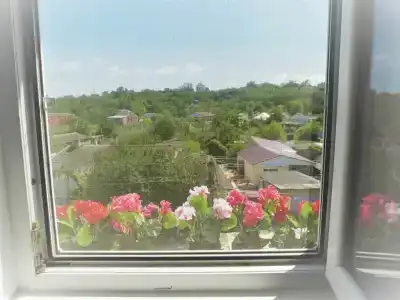 Маргарита - 17