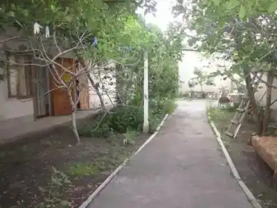 Глициния - 12