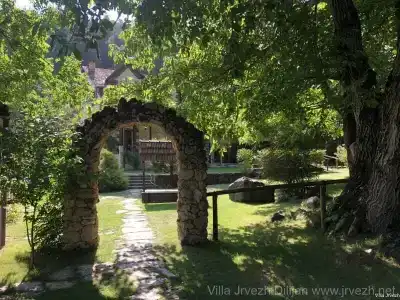 Eco Garden - 24
