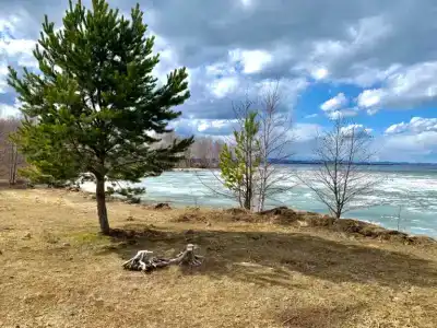 Палаточный лагерь - 31