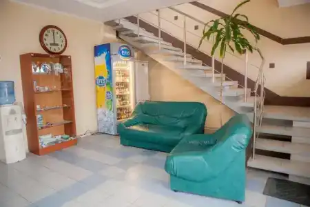 Спутник - 33