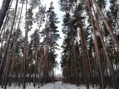 Санаторий-профилакторий Орбита - 3