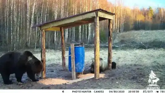 Междуречье - 14