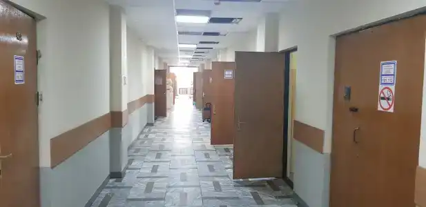 Смородина - 13