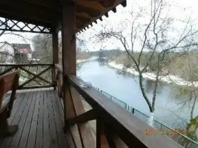 Forest river - 13