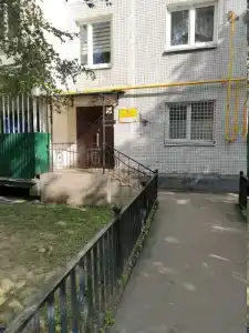 Викинг - 1