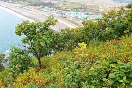 Утёс - 4