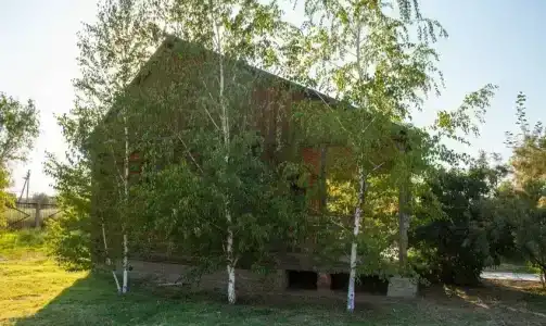 Астра - 7
