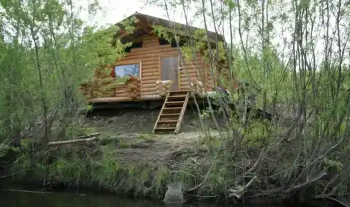 Потапыч - 4
