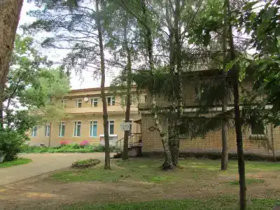 Борок - 1