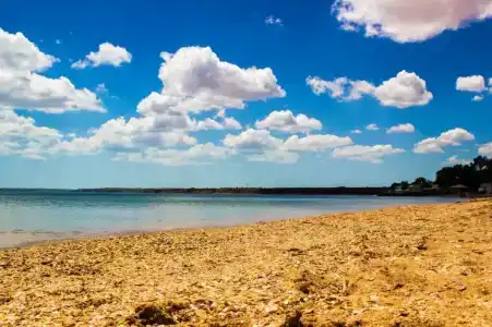 Остров Добра - 13