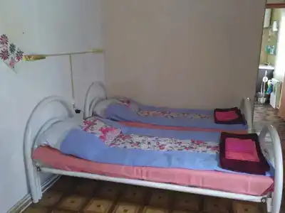 Вепсская деревня - 1