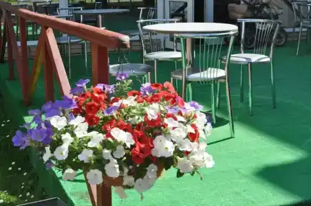 Голицыно - 4