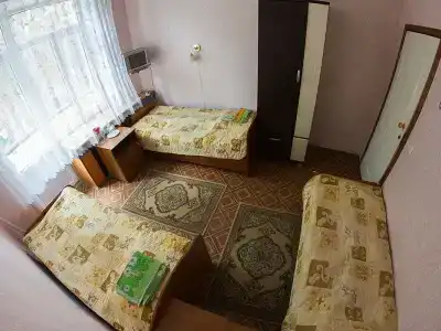 Сосны - 17