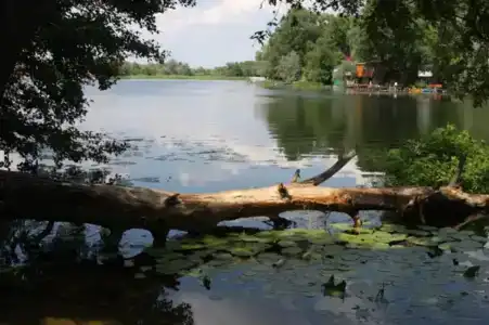 Путь к себе - 33