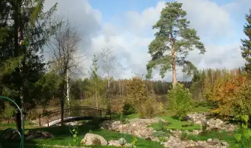 Комела - 42