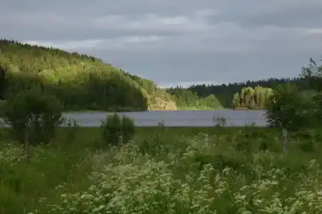 Микли-Ольгино - 34