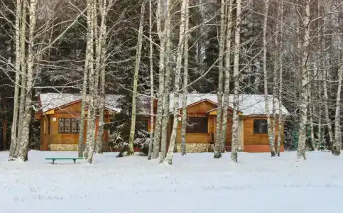 Пушкиногорье - 14