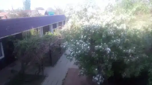 Булгарский Дворик - 10