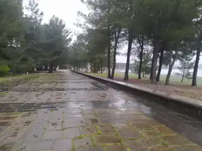 Золотое Руно - 41