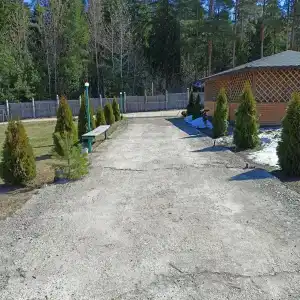 Сосновый - 10